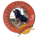 Explore your local area with Callum