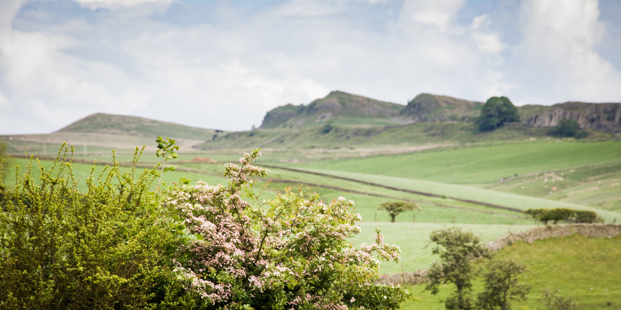 Green Croft Arts